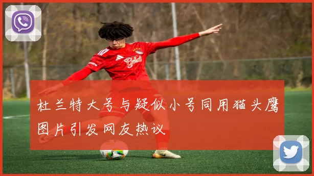 杜兰特大号与疑似小号同用猫头鹰图片引发网友热议